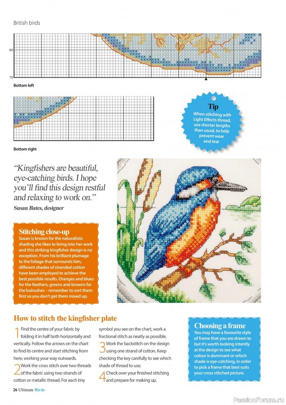 Коллекция вышивки в журнале «Cross Stitch Birds - March 2025»