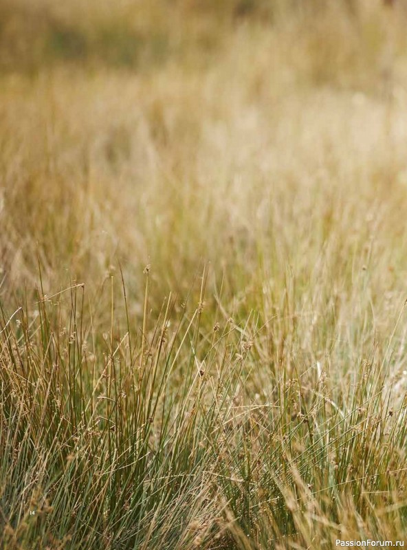 Вязаные проекты в книге «Westmorland»