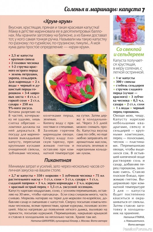 Коллекция кулинарных рецептов в журнале &laquo;Сваты. Заготовки №3 2026&raquo;