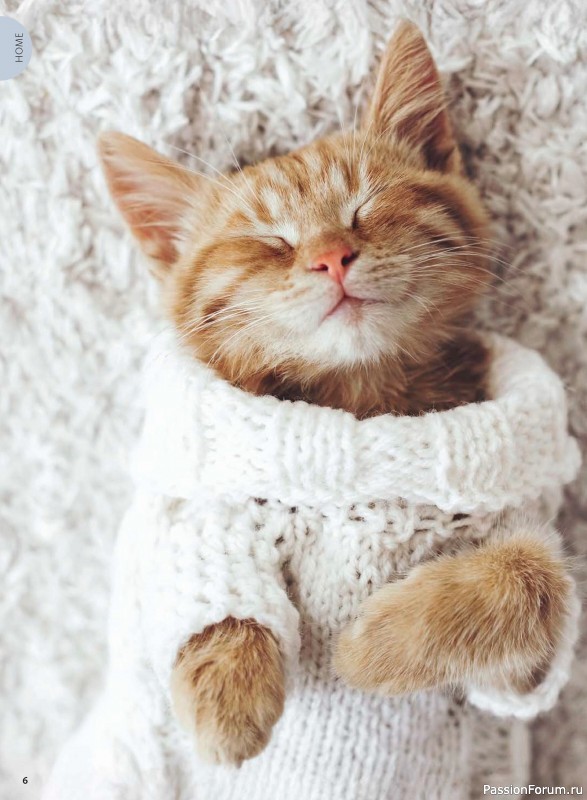 Вязаные проекты в журнале «Selbst Gestrickt №1 2026»