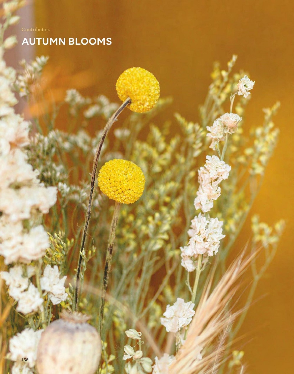 Вязаные модели в журнале «Pom Pom Quarterly №42 2022» Вязаные модели в журнале «Pom Pom Quarterly №42 2022»