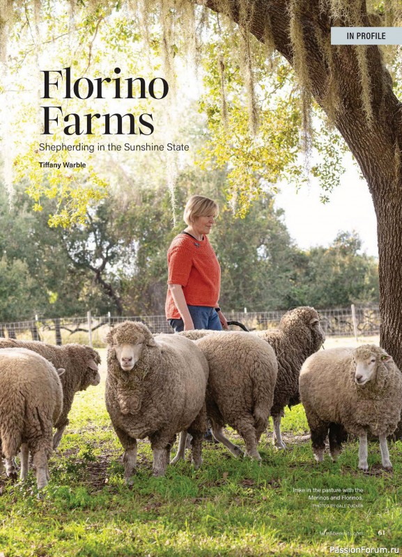 Вязаные проекты в журнале «Farm & Fiber Knits - Summer 2026»