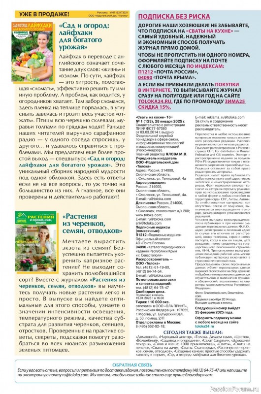 Коллекция кулинарных рецептов в журнале «Сваты на кухне №1 2025»