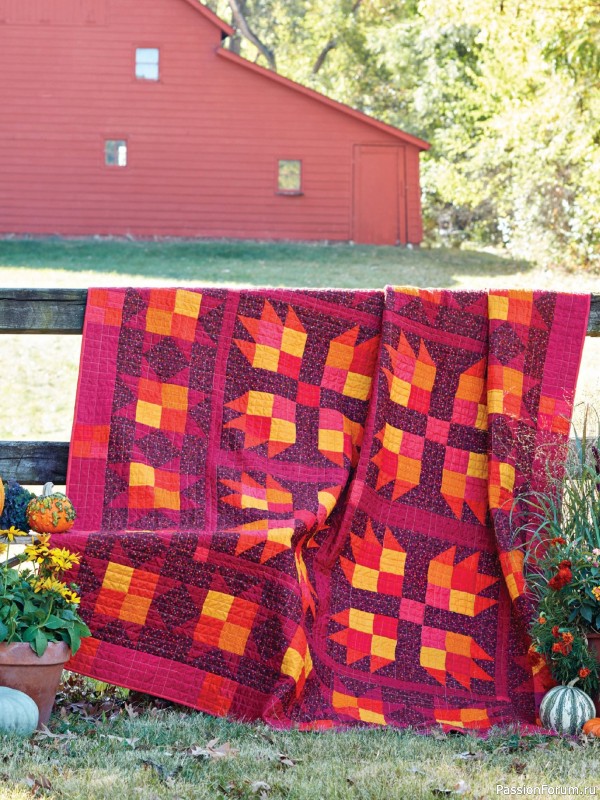 Коллекция проектов для рукодельниц в журнале «American Patchwork & Quilting №196 2025»