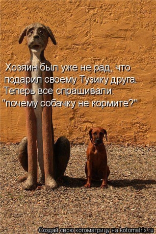 На котеек посмотрели? Теперь на собачек посмотрите.