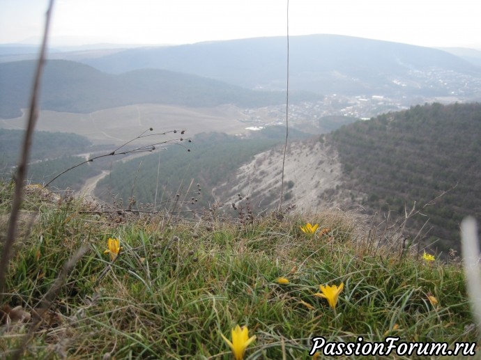 Весна в Крыму.