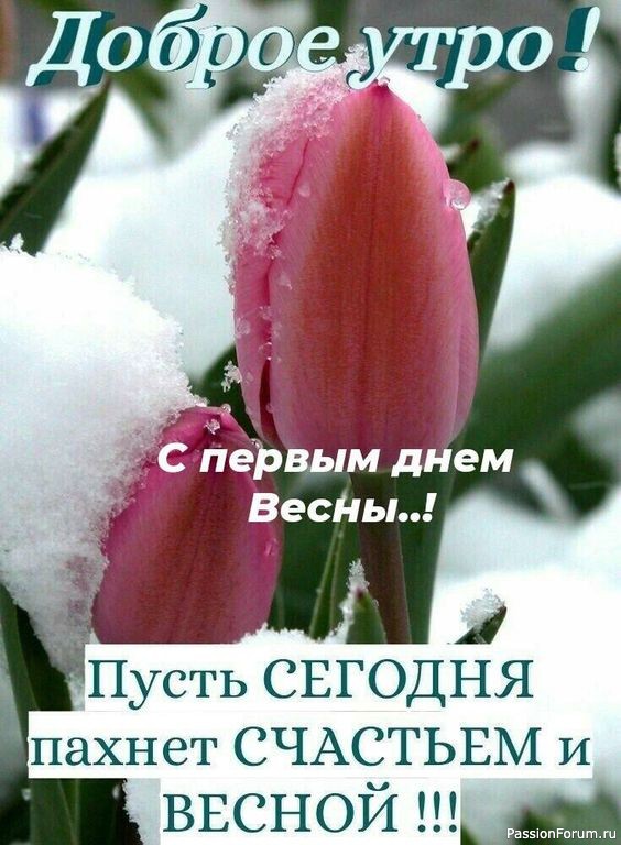 Весна пришла...!