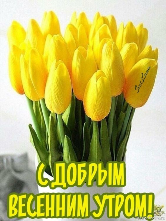 Весна пришла...!