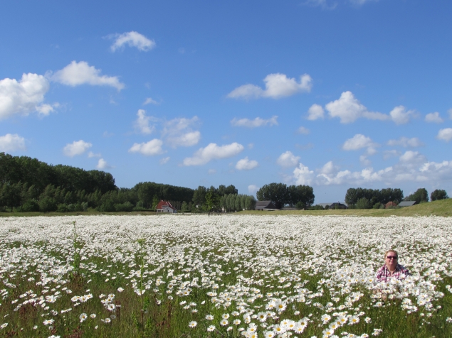 Цветы Голландии (часть 2)