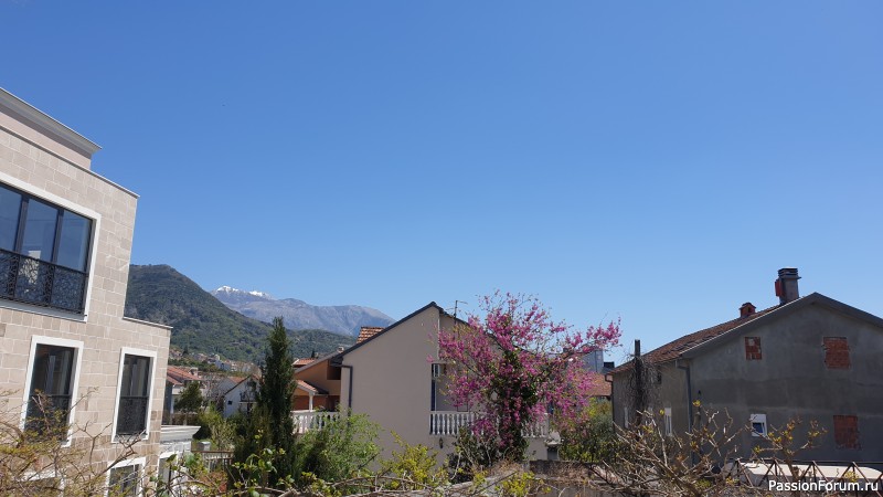 Пока я летела в Тиват и обустраивалась