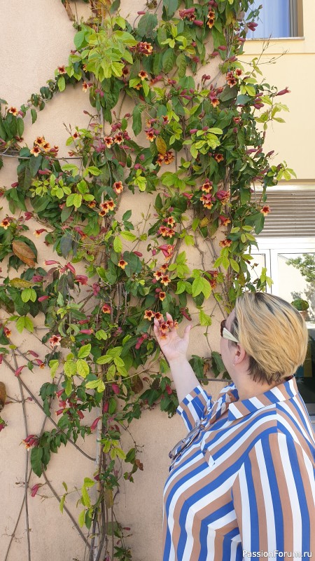 Пока я летела в Тиват и обустраивалась