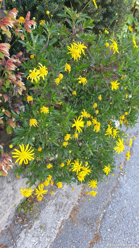 Пока я летела в Тиват и обустраивалась