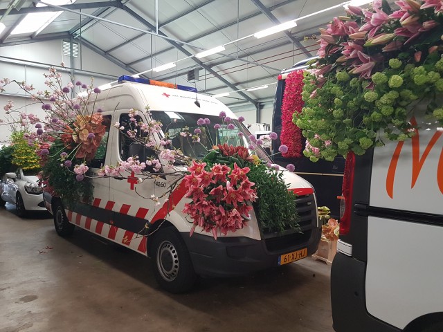 Цветы Голландии (часть 5)