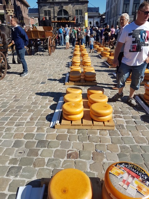 Gouda - сырный город