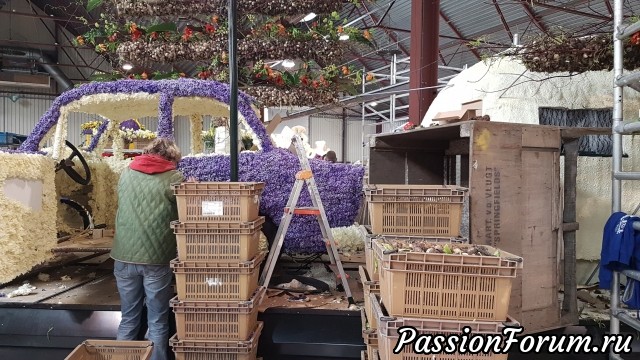 Не верится, что прошёл год (часть вторая)