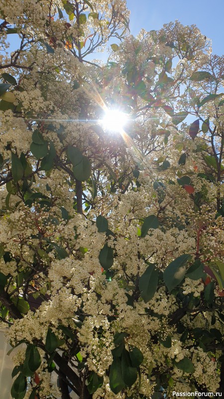 Пока я летела в Тиват и обустраивалась