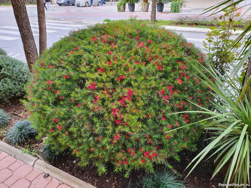 Пока я летела в Тиват и обустраивалась