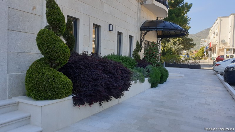 Пока я летела в Тиват и обустраивалась