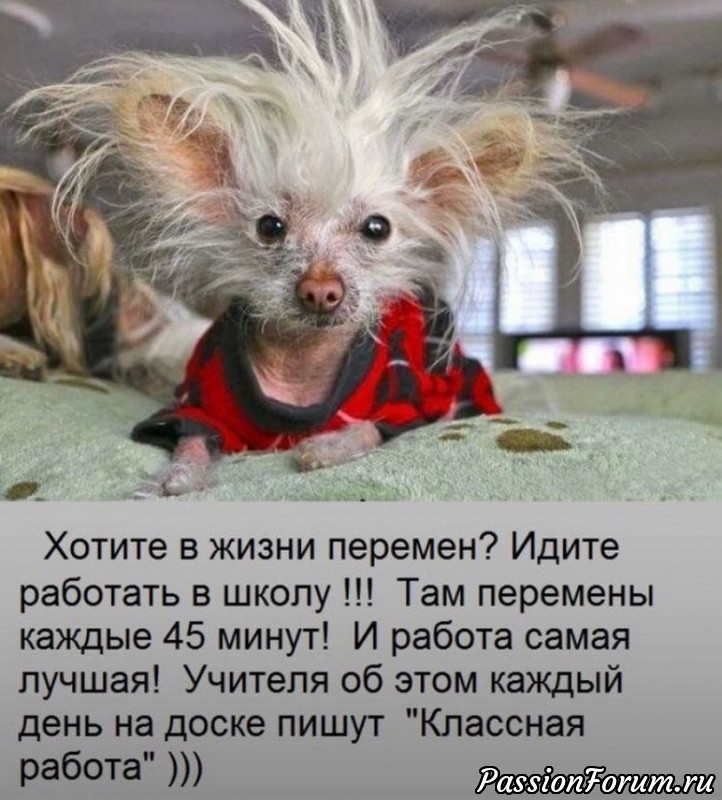 Хотите в жизни перемен?!