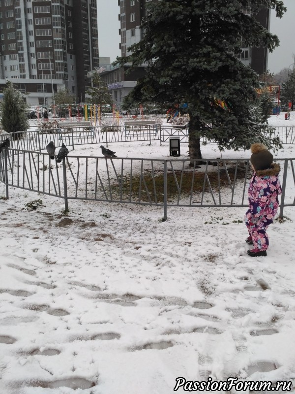 А у нас первый снег, а у вас?