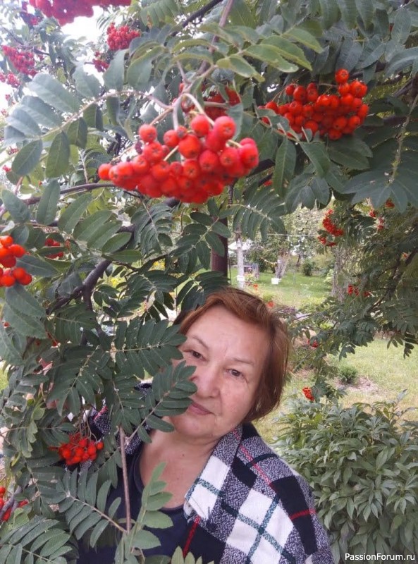 ДаеЖь УроЖай