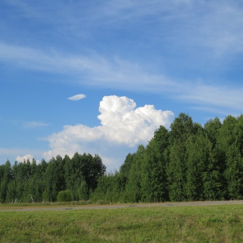 Немного капель лета в зимнюю стужу