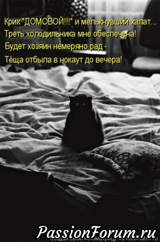 Котэ- домовые)))