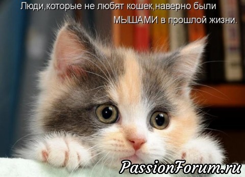 КОТЭ-МИЛАШКИ