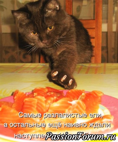 Тихо стырил ..и ушел...Называется-НАШЕЛ!