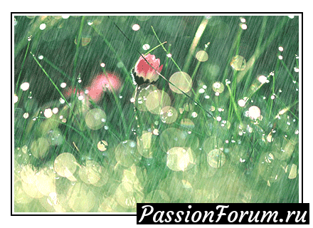 ЦВЕТОЧНЫЕ ПОЭМЫ