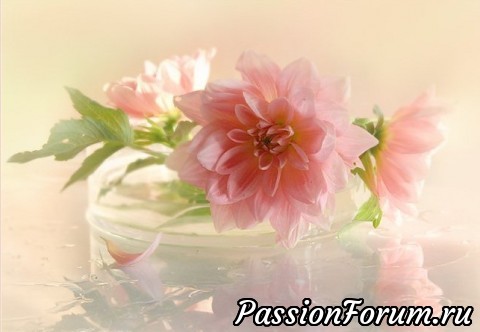 ЦВЕТОЧНЫЕ ПОЭМЫ