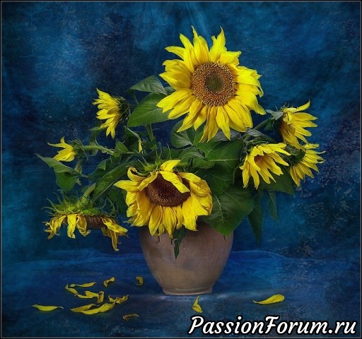 ЦВЕТОЧНЫЕ ПОЭМЫ