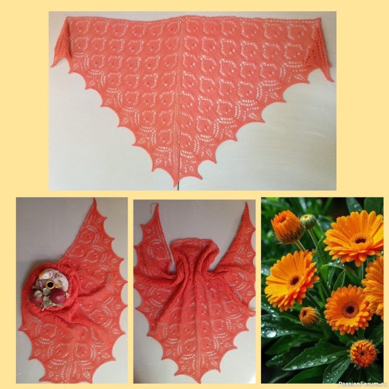 Fountain Pen Shawl (Шаль с перьевой ручкой) by Susan Pierce Lawrence в моем исполнении