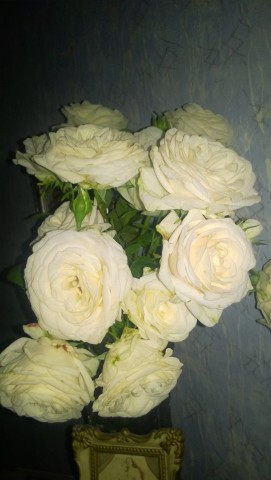 Розы мои розы!! И не только)))