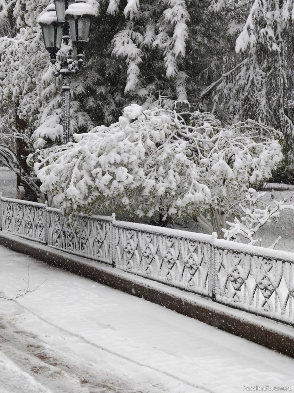 В Москве опять случился снегопад
