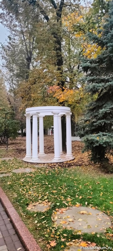 "Осень листья раскидала по траве"... (мои стихи)