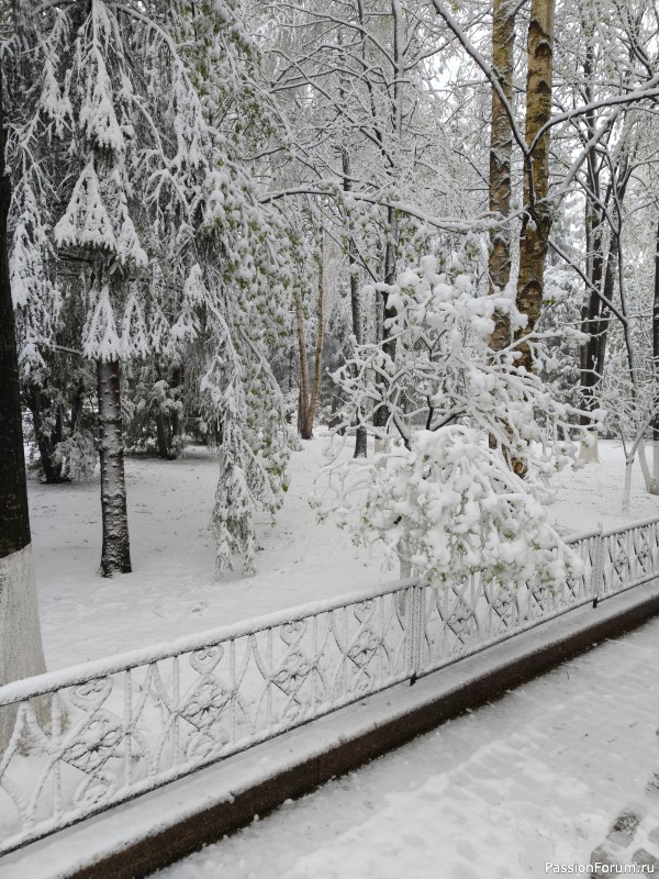 В Москве опять случился снегопад