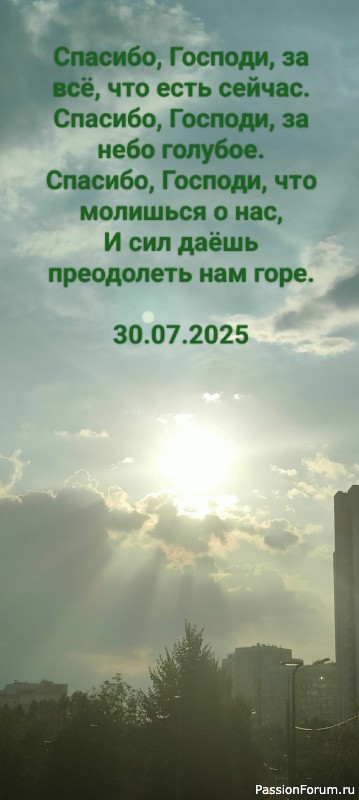 Стихи. Новое