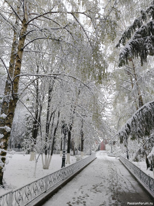 В Москве опять случился снегопад