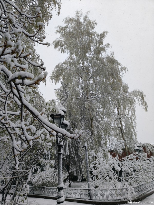 В Москве опять случился снегопад