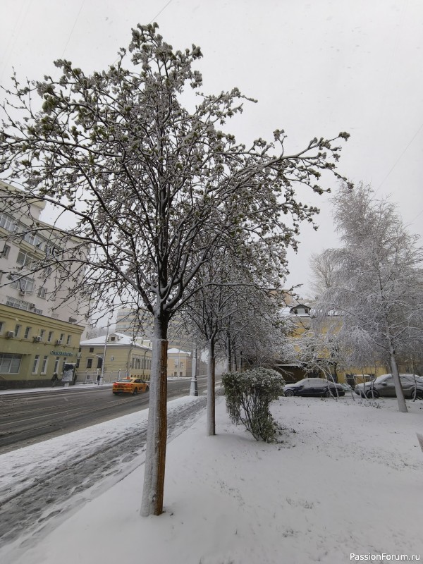 В Москве опять случился снегопад