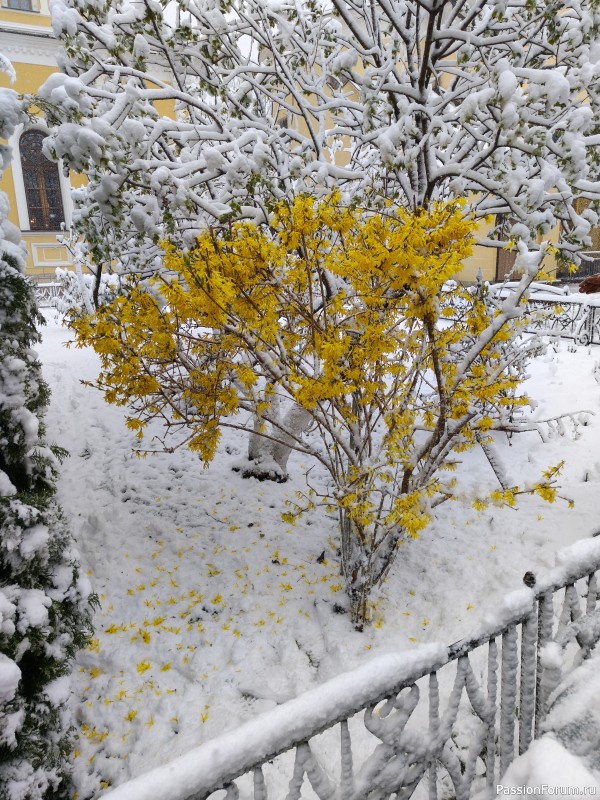 В Москве опять случился снегопад
