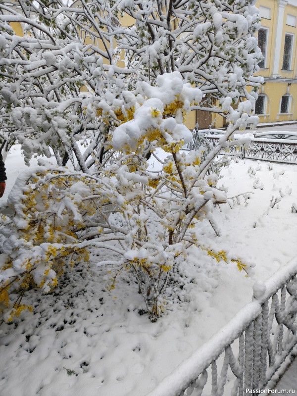 В Москве опять случился снегопад