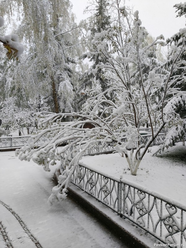 В Москве опять случился снегопад