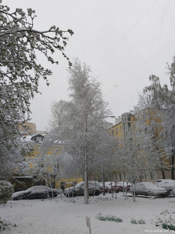 В Москве опять случился снегопад