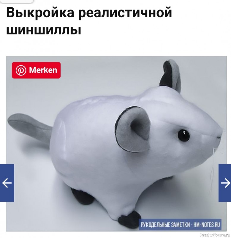 Шиншилла Людмила