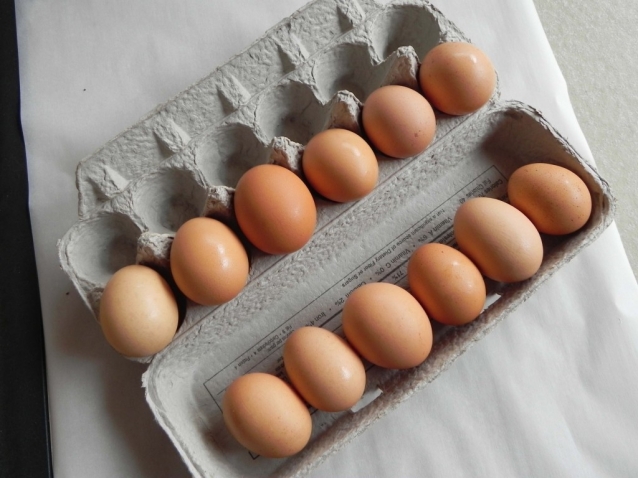 Искусственные яйца из Китая