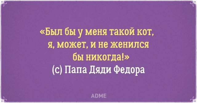 О нелегкой жизни котов и их владельцев