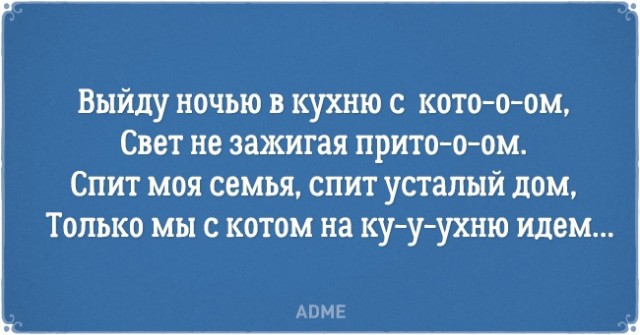 О нелегкой жизни котов и их владельцев