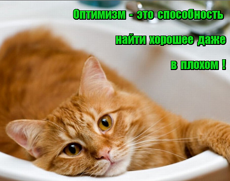 23.06...+30...лето